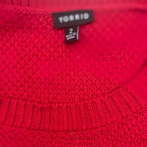 Torrid Sweater